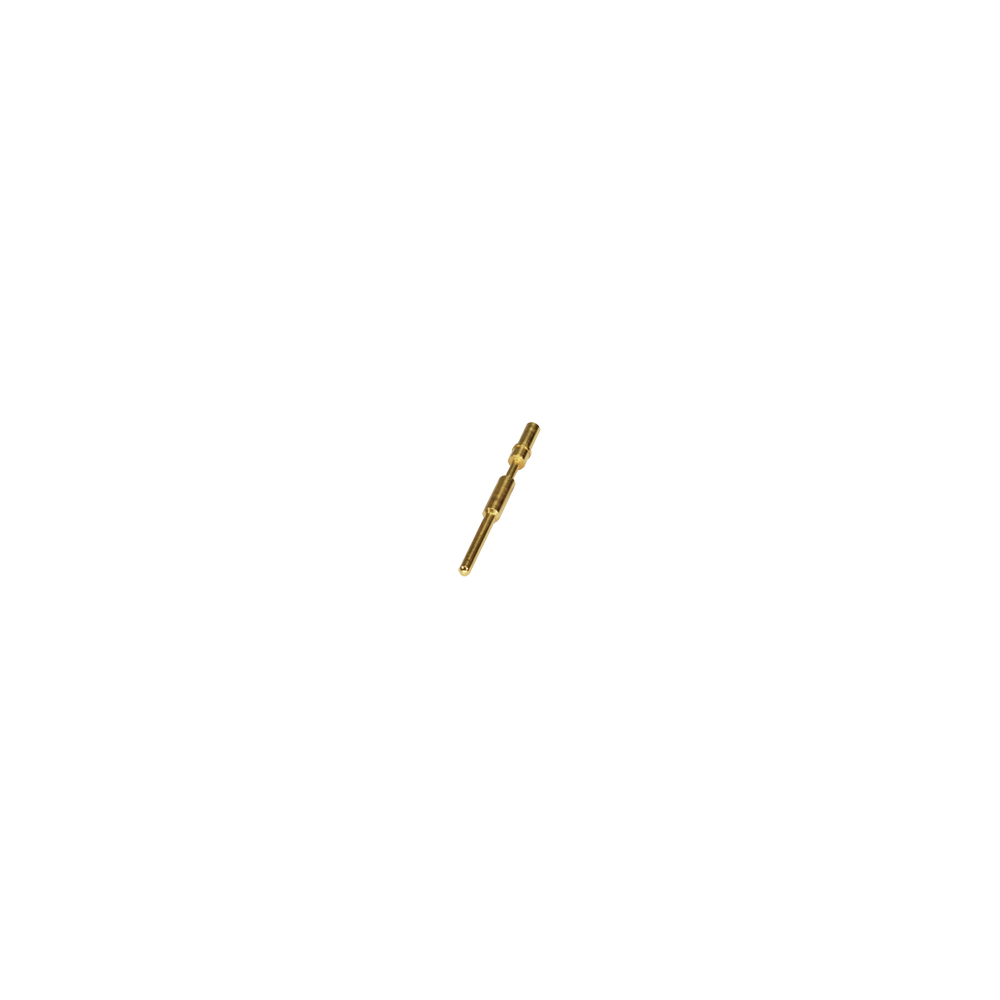 7204