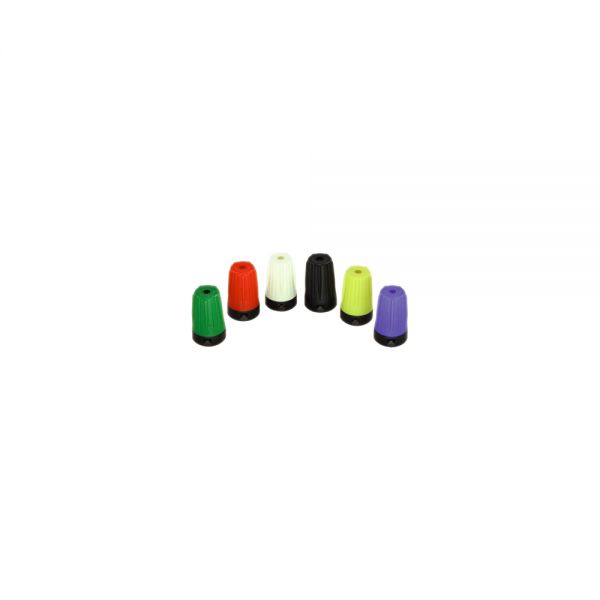 1910-SW und weitere Varianten